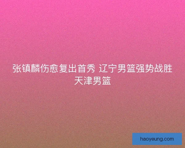 张镇麟伤愈复出首秀 辽宁男篮强势战胜天津男篮